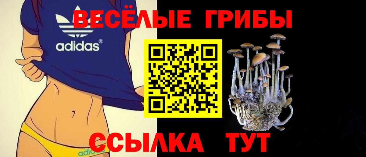 Семёнов  Галлюциногенные грибы Psilocybe  купить наркотики цена  Вход с VPN 